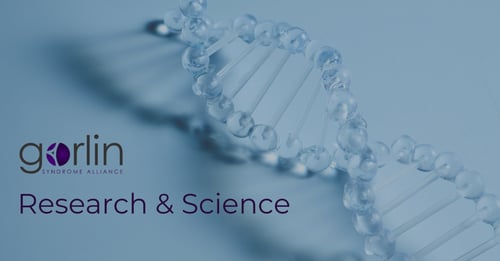 Sol-Gel Study Update